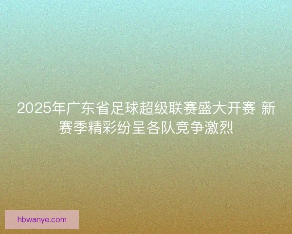 2025年广东省足球超级联赛盛大开赛 新赛季精彩纷呈各队竞争激烈 2025年广东省足球超级联赛盛大开赛 新赛季精彩纷呈各队竞争激烈