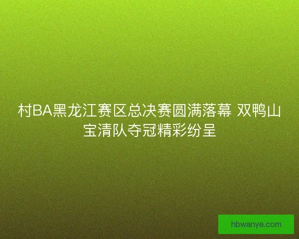 村BA黑龙江赛区总决赛圆满落幕 双鸭山宝清队夺冠精彩纷呈